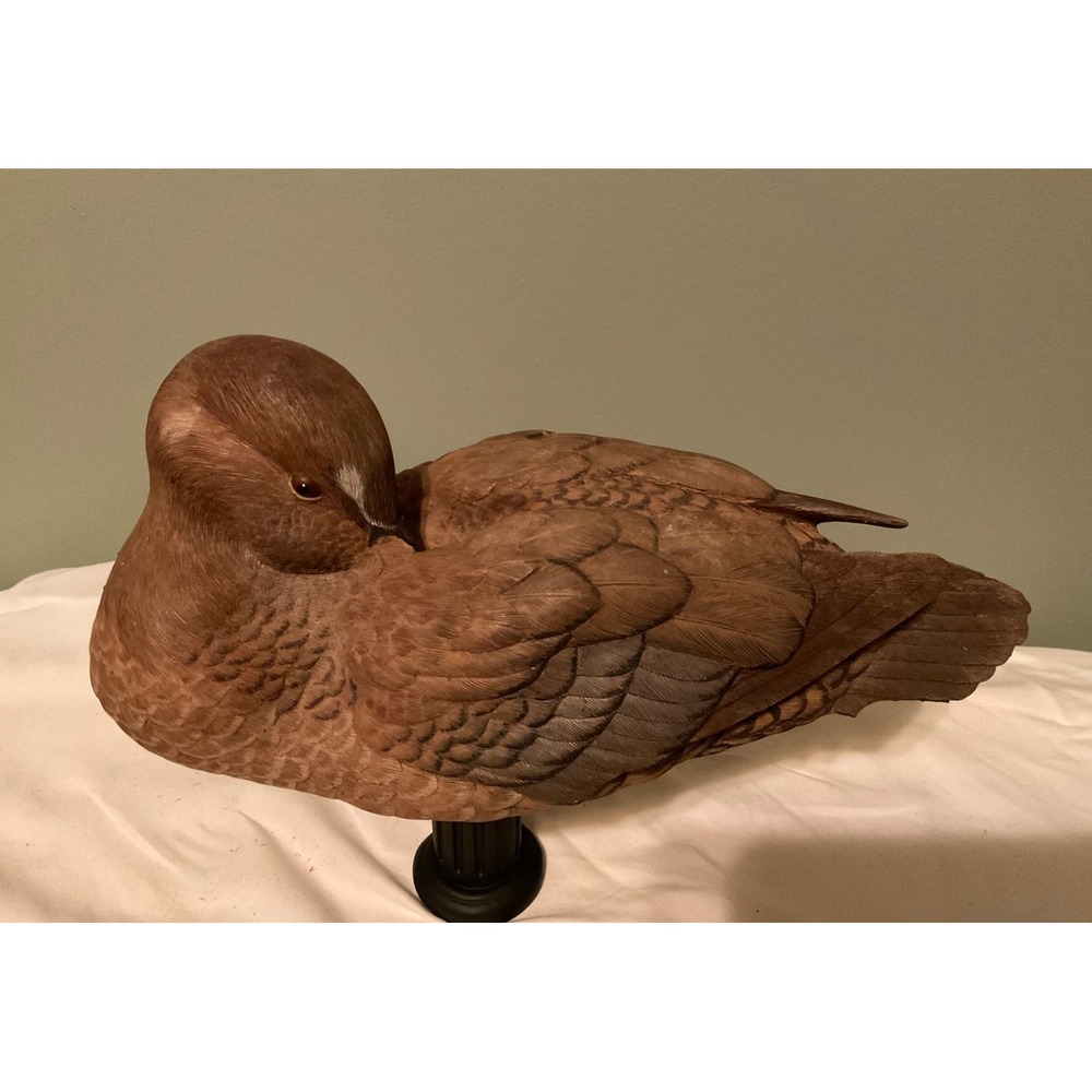 13" DECOY Brown HARLEQUIN DUCK DisplayNatures Window EXECUTIVE EDITION 25/250